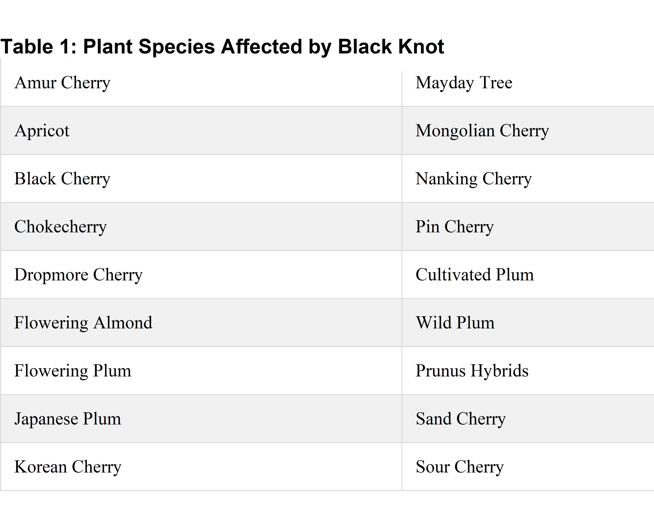 black knot species table