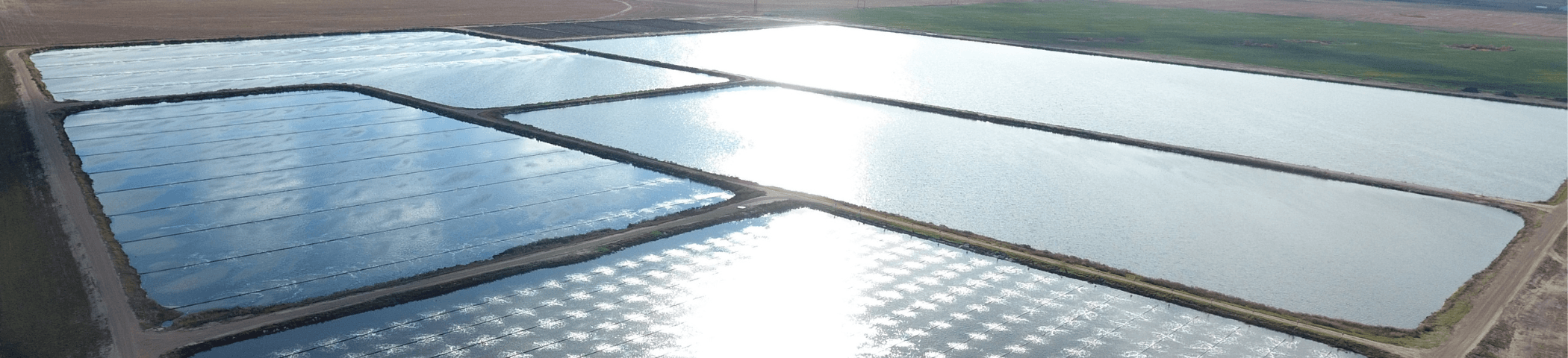 sewer network banner